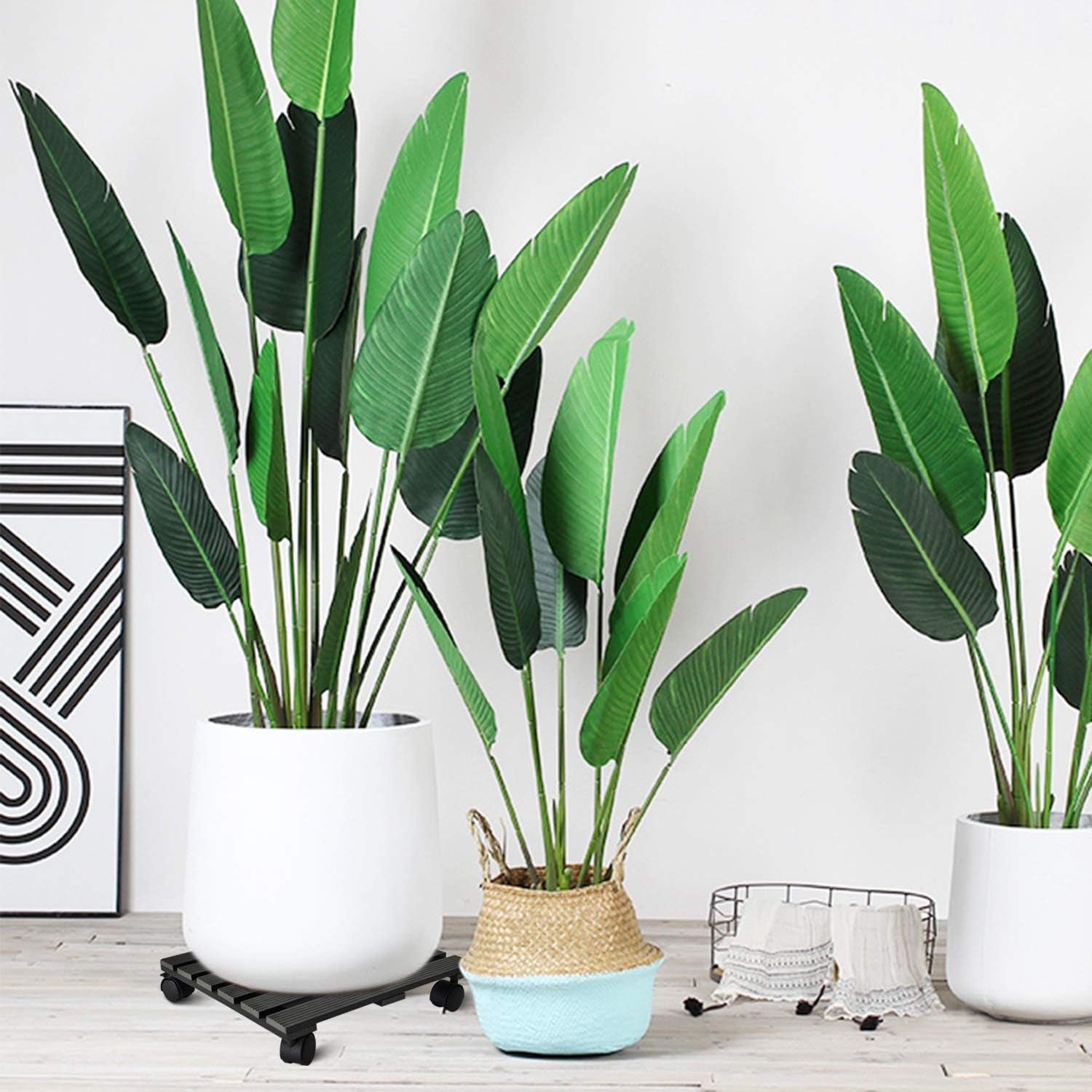 Plant Caddy Heavy Duty Plant Pot with 5 Rolling Wheels Indoor/Outdoor Holds up to 14 Inches and 150 Lbs Strong and Sturdy Design (14 Inch Square, Charcoal)